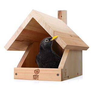 wildtier herz I Amsel Nistkasten aus Massiv-Holz – Vogelhaus für Halbhöhlenbrüter (50% Rabatt)