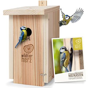 wildtier herz | Nistkasten Natur für Blaumeisen & kleine Meisenarten – 50% Rabatt!