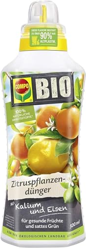 COMPO Zitrusdünger für 3,99€ – Jetzt Zitrusfrüchte gesund und lecker selber anbauen