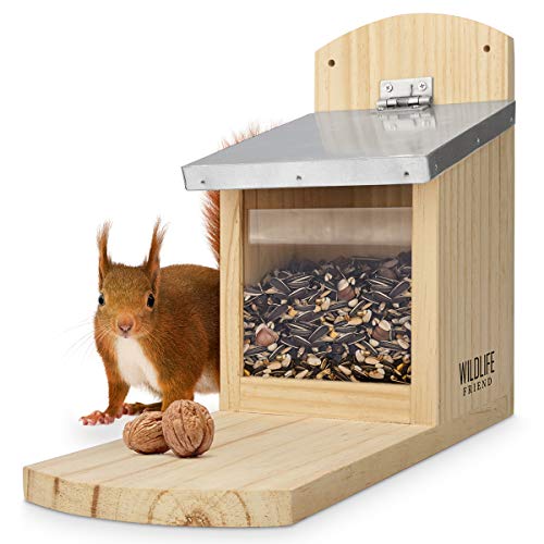 Schnapp dir das WILDLIFE FRIEND I Eichhörnchen Futterhaus Maxi für nur 17€!