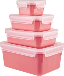 Emsa Frischhaltedosen-Set im Prime Deal – jetzt für nur 12,99 €!