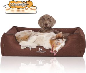 Knuffelwuff Hundebett Wippo mit Memory Foam – 65% Rabatt sichern
